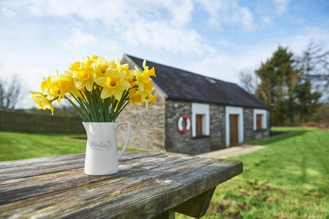 Penuwch Boathouse- Lakeside Rural Cottage Ideal For Families With Indoor Heated Pool Carmarthen Bagian luar foto