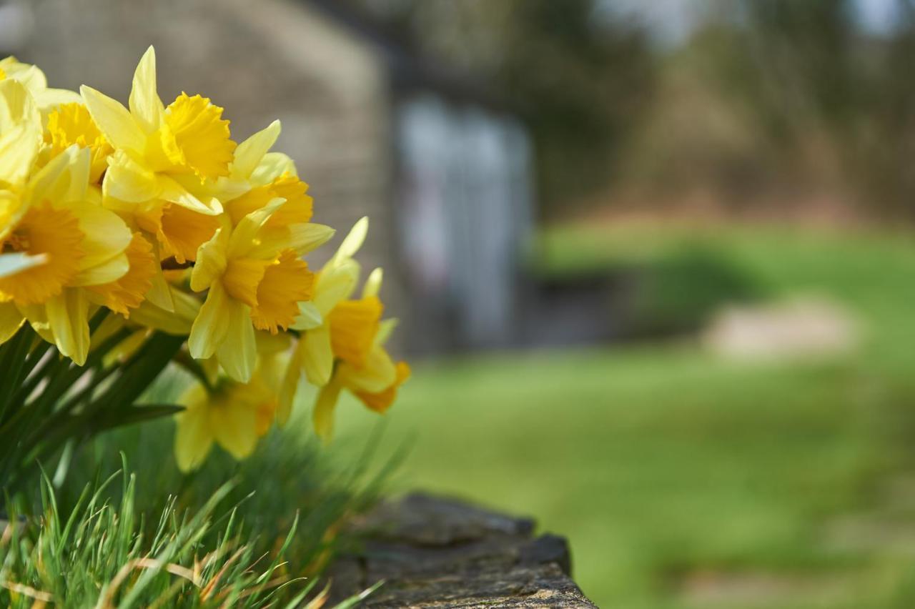 Penuwch Boathouse- Lakeside Rural Cottage Ideal For Families With Indoor Heated Pool Carmarthen Bagian luar foto